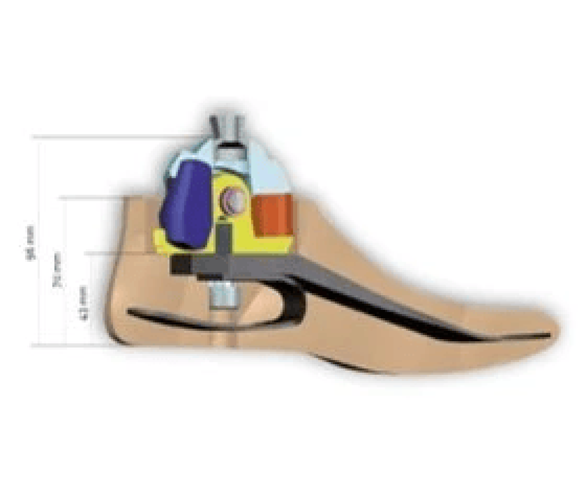 Dynastep + Multi-Axis Ankle + Malleolar Clip KIT